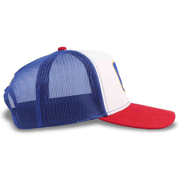 Cartoon Lion Icon Trucker Cap