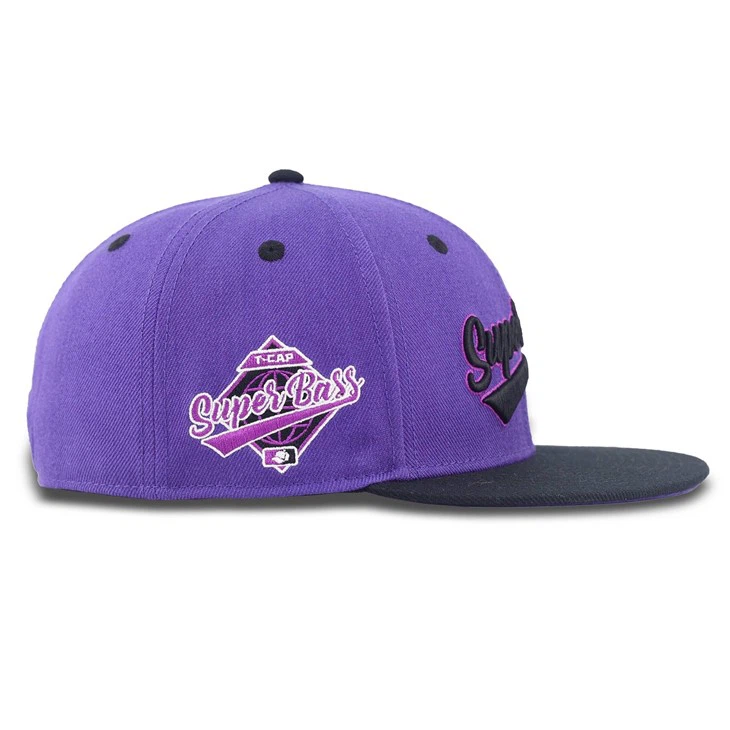 Purple And Black Color Scheme Fitted Cap